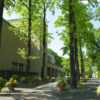 町田市立国際版画美術館の並木道