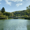 薬師池公園のタイコ橋