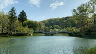 薬師池公園のタイコ橋