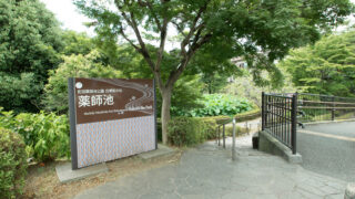 薬師池公園
