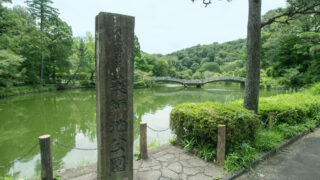 薬師池公園