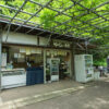 薬師池公園