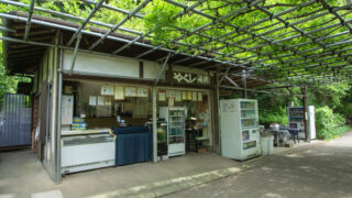 薬師池公園