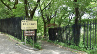 薬師池公園