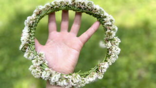 シロツメクサの花冠